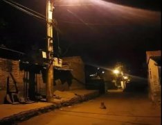 記憶中的老街巷口，有沒有一條等你回家的狗？