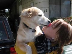 狗狗喜歡舔你，原來是想告訴你這些！